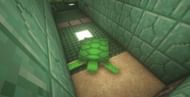 A secret redstone door that utilizes turtle mechanics (Image via u/PoketDex on Reddit)